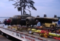B-25 Bomber Recovery